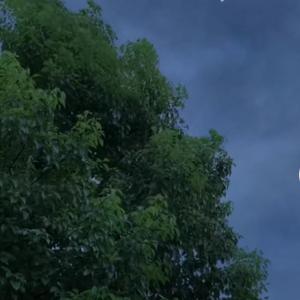 燕无歇（吉他治愈版）