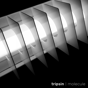 Molecule (Original Mix)