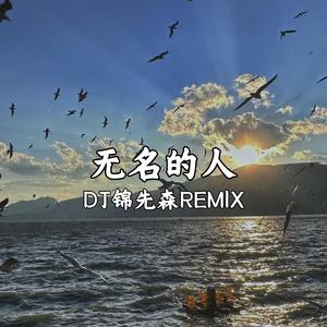 女版 - 无名的人（DJ锦先森 Remix）