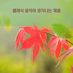 차이코프스키 - 로망스 사단조