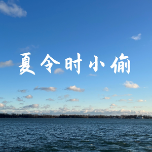 夏令时小偷