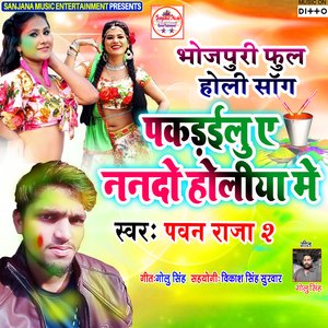 Pakarailu Ye Nando Holiya Me