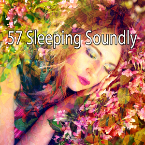 和平婴儿庇护所