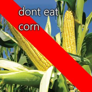 cornography