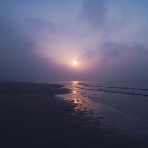 Distant Shore