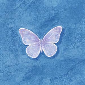 情话（Butterflies）