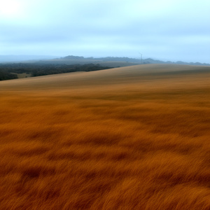 Windy Hill