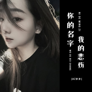 你的名字我的悲伤 (DJ彭锐版)