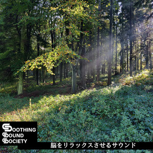 Serene Visions of Harmony