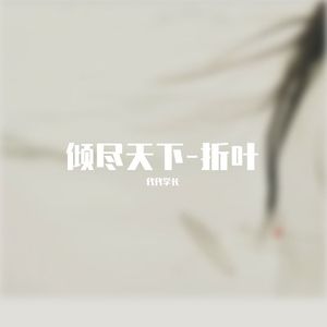 倾尽天下-折叶