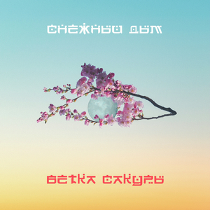 Ветка сакуры