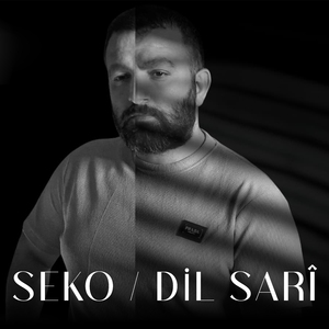 Dil Sarî (Live)