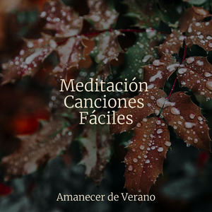 Melancolía Sinfónica