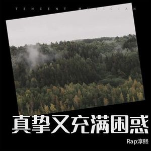 真挚又充满困惑