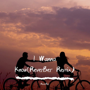 RL Grime-I Wanna Know（ReverBer remix）