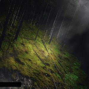 Satyr Forest (Short Walk)