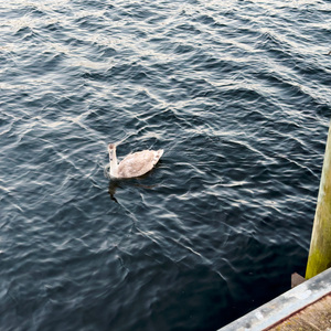 Hands in the Low End