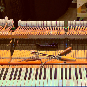 Liszt Consolation No. 1 in E Major Andante con moto