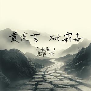 黄连苦 砒霜毒(女版)