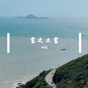 霓虹病历本