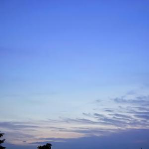 দশ দুয়ারী মাইয়া কন্ঠে মুবিন