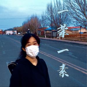 一荤一素