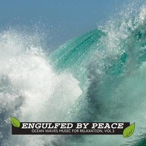 Morning Birds at Coniferous Forest