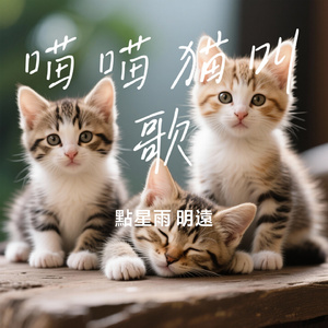 喵喵猫叫歌