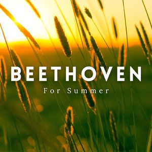 Symphony #4 In B Major Op. 60 - Allegro vivace - un poco meno allegro