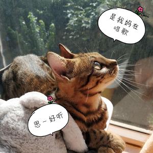 从前（翻自 妖扬）