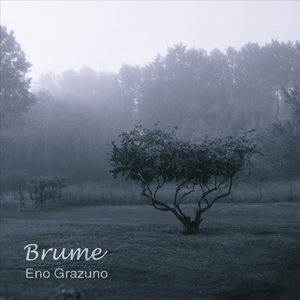 Brume
