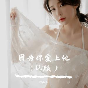 因为你爱上他（DJ版）
