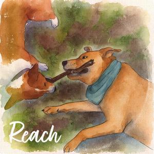Reach