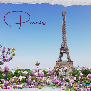 Background Music for French Dinner