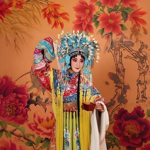 梨花颂 (京剧大全名家名段)