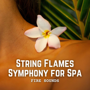 Harmonic Fire Symphony for Relaxation