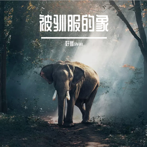 被驯服的象
