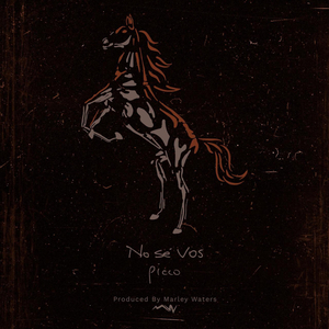No Sé Vos