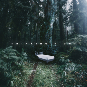 THINKING NIGHT (feat. Leah)