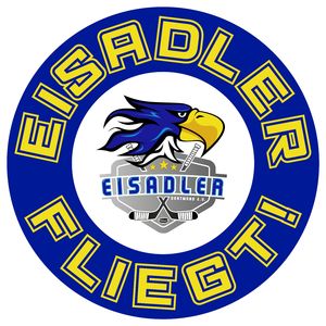 Eisadler Fliegt