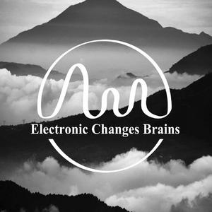 Electronic Changes Brains Vol.001
