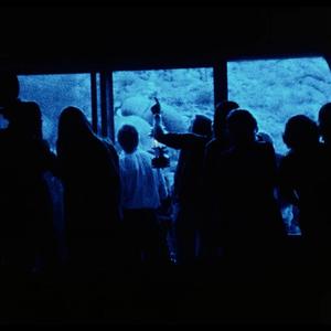 黄历十一月三十初七