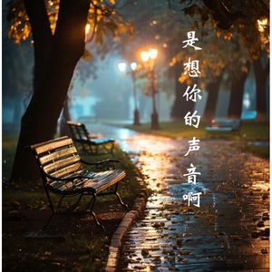 是想你的声音啊（DJ小小只 remix）