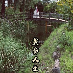 黄昏人生 崔丽玲（翻自 盘索里崔丽玲）