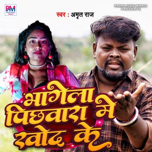 Bhagela Pichhavara Me Khod Ke