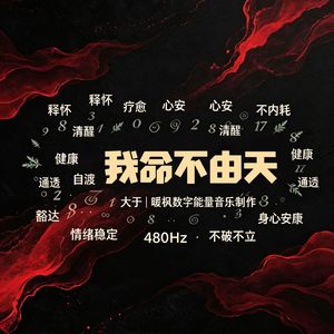 我命不由天MP3