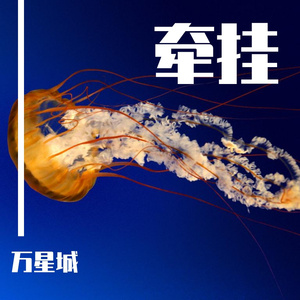 牵挂伴奏带旋律