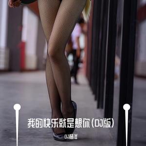 我的快乐就是想你（DJ版）
