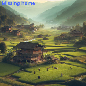 Missing Home