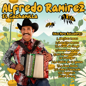 Abejitas Locas